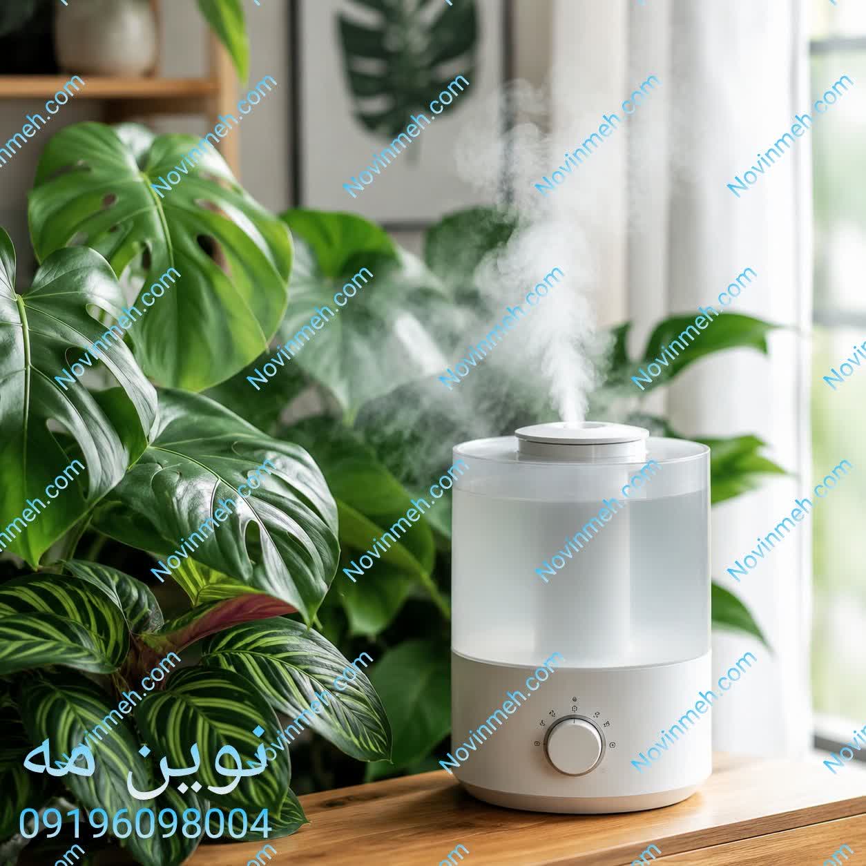 حفظ سلامتی گیاهان خانگی